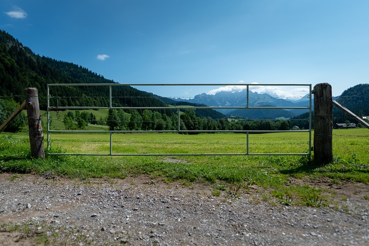 Farm fence