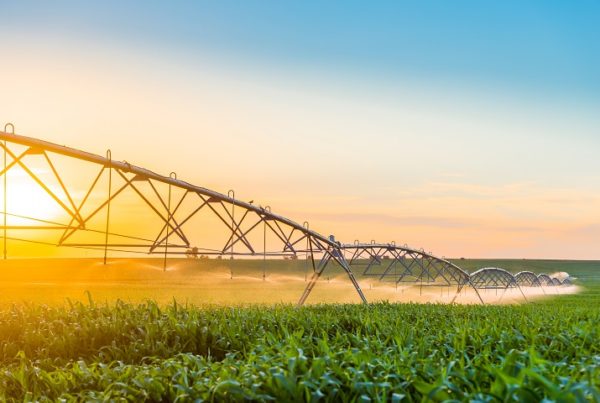 Why the Farmers must Choose the Right Irrigation Pipe