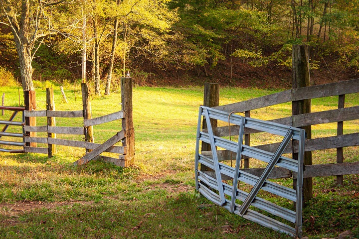 Metal Gates VS Wooden Gates Which One Is the Better Choice