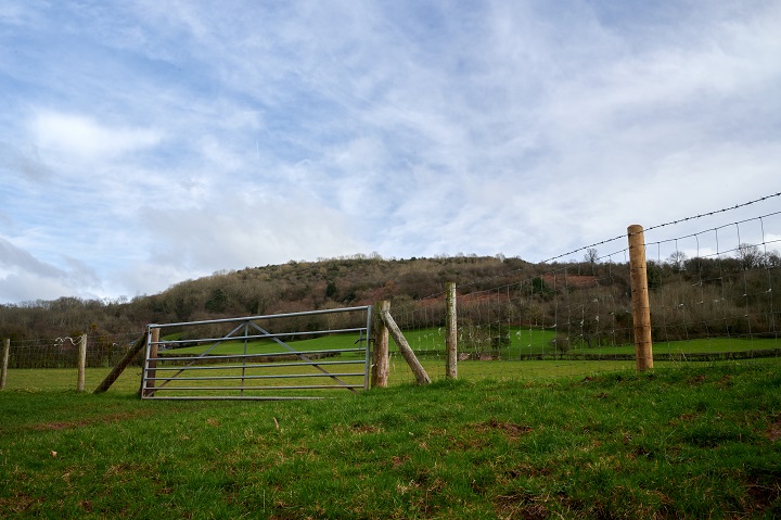 wire fences and gates