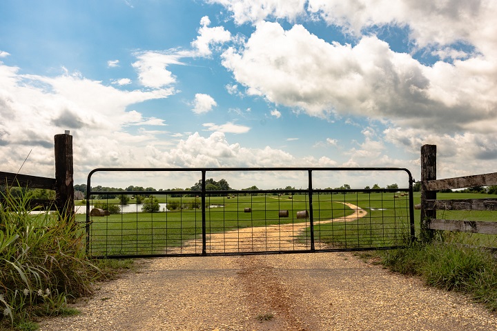 5 Types of Farm Gates and How to Choose the Perfect One?