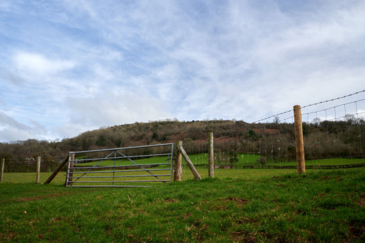 Farm Fence Contractor