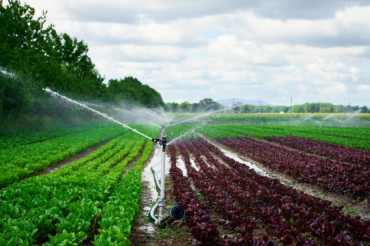 The Right Way to Install Agricultural Irrigation System