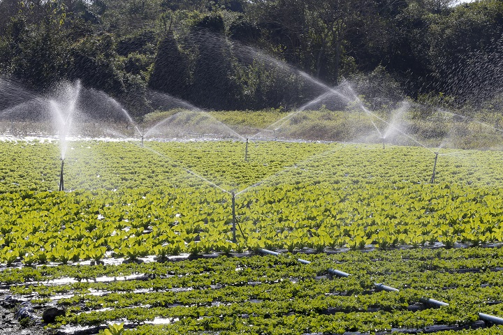 Sprinkler Service