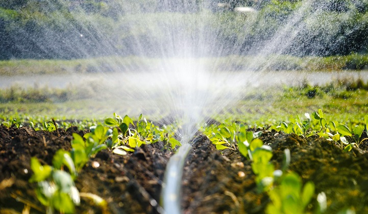 Irrigation Pipes A Guide to Agriculture Transformation