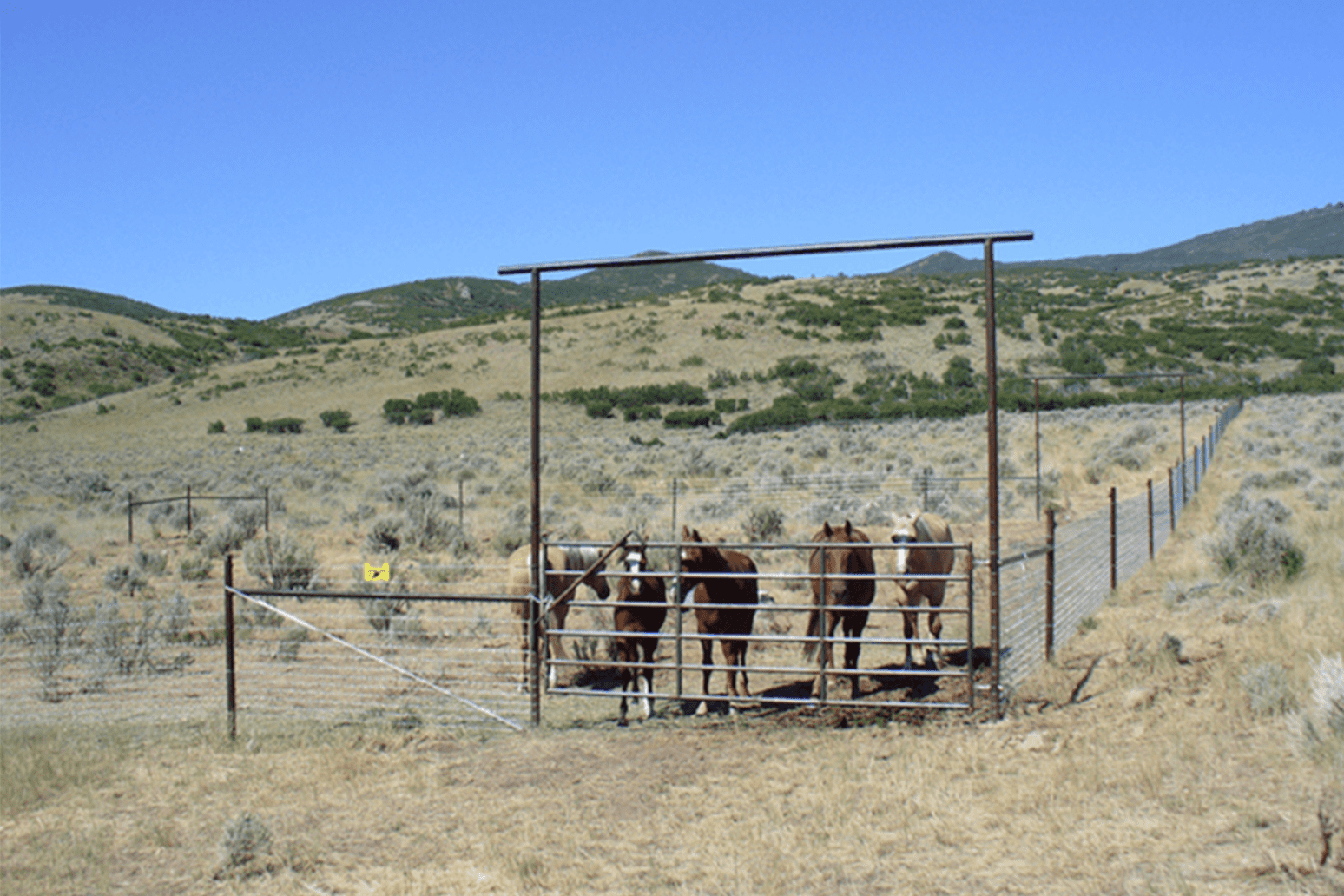 The Ultimate Guide to Metal Farm Gates You’ll Ever Need