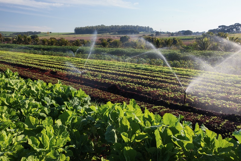 Why the Right Pipes for Irrigation Matters to Farmers