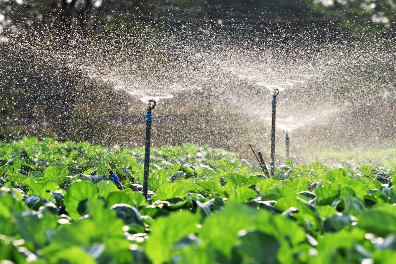 What Irrigation Methods and Pipes are Best for Agriculture?