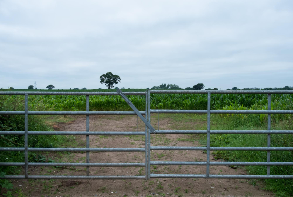 Why Choose Steel For Your Farm’s Gate Replacement?