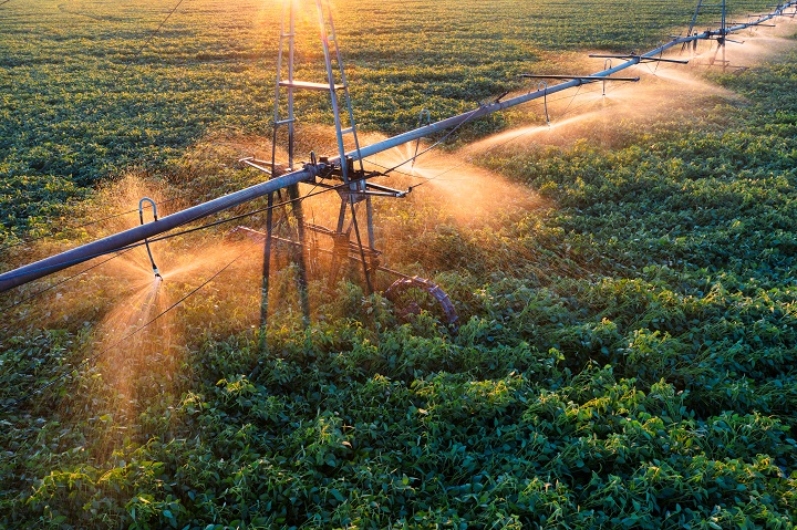 Which Irrigation Pipes Guarantee a Bountiful Harvest?