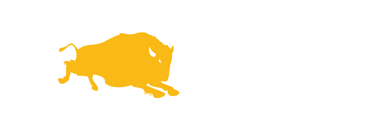Bison Pipe