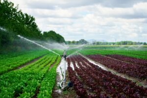 Irrigation,System,Works,In,Field,,Sprinkles,Water,On,The,Soil