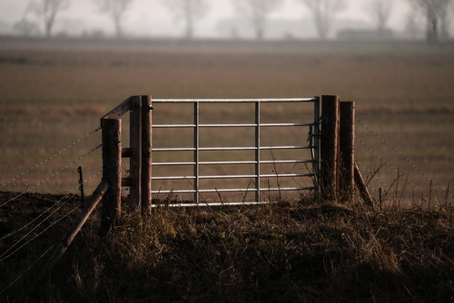 Choosing the Right Farm Gates: Materials, Sizes, and Pipe Types