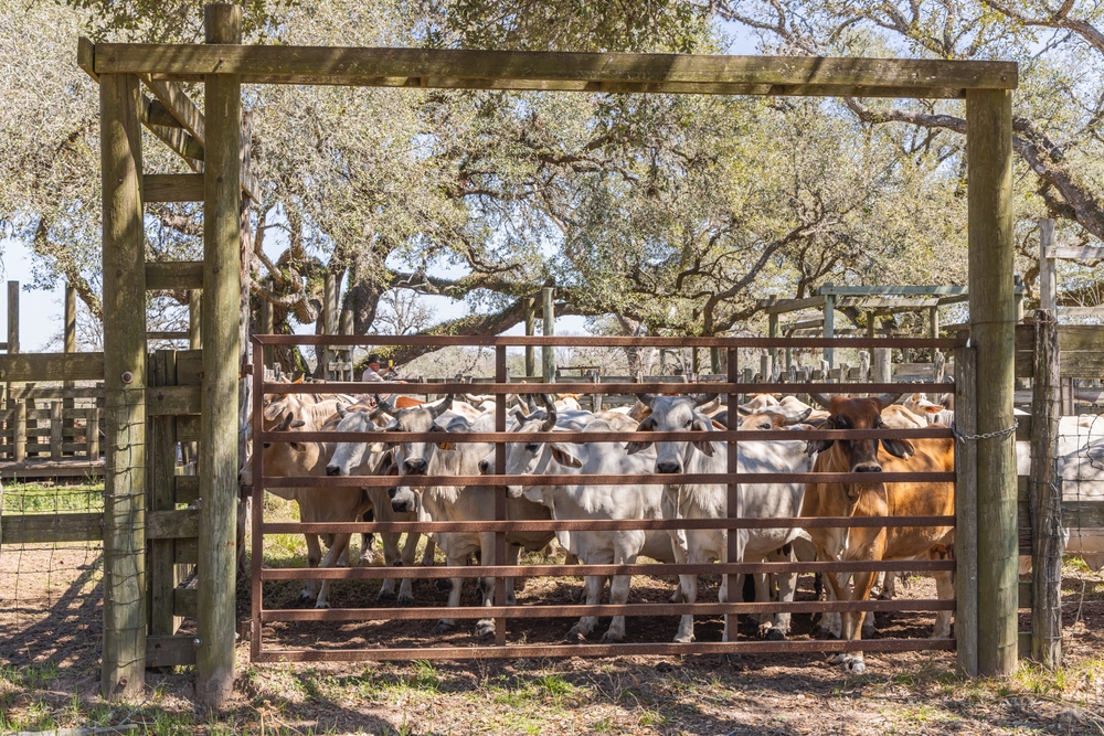 5 Types of Farm Gates Every Property Owner Should Know