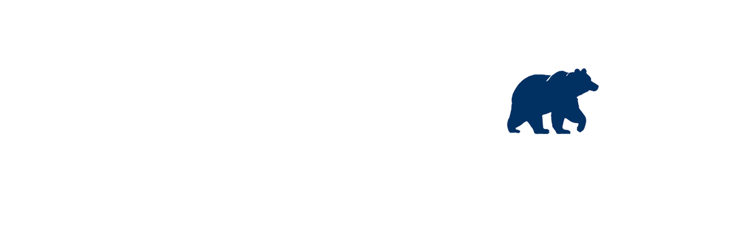 Big Bear Logo F WHITE W BLUE BEAR